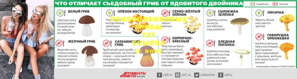прущая мука Горно-Алтайск