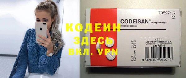 меф Вяземский