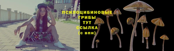МДПВ Вязники