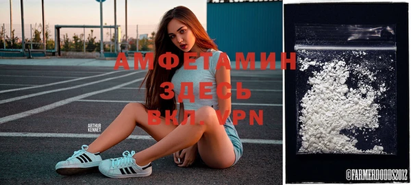 меф Вяземский
