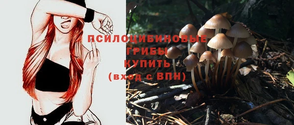 меф Вяземский